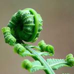 Behandlung - Psychologische Praxis