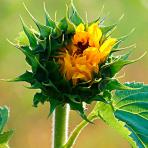 Training - Psychologische Praxis