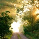 Beratung - Psychologische Praxis Beratung - Psychologische Praxis